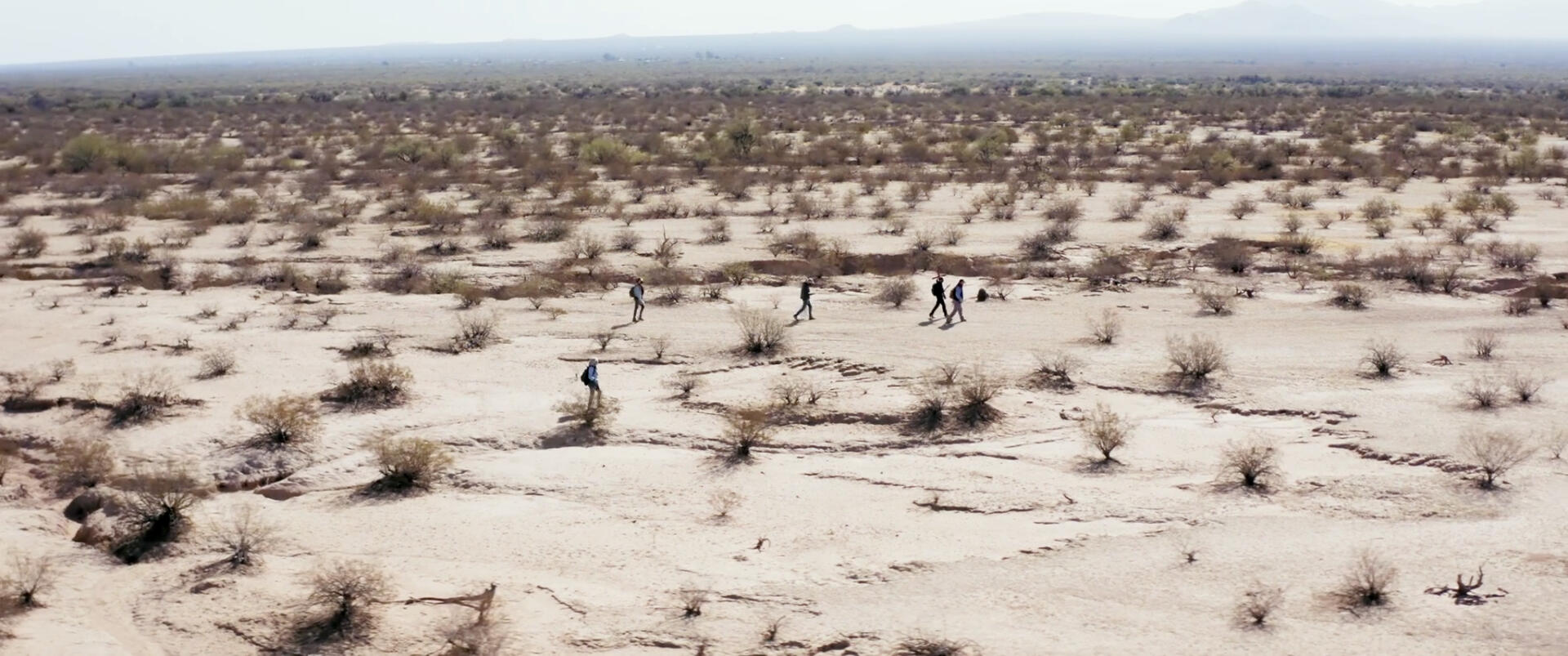 Alvaro searching the desert Alvaro searching the desert