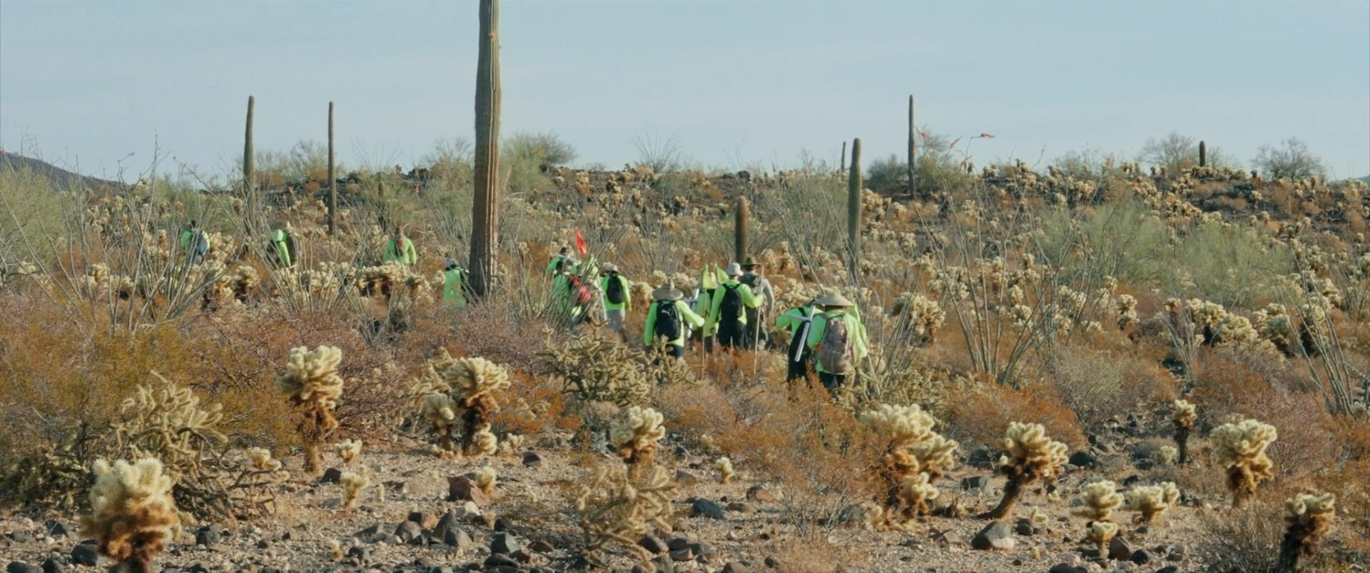 Aguilas doing a search for Valentín